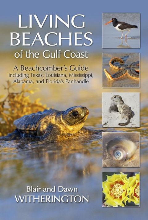 Living Beaches of the Gulf Coast -  Blair Witherington,  Dawn Witherington