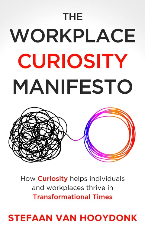 The Workplace Curiosity Manifesto - Stefaan van Hooydonk