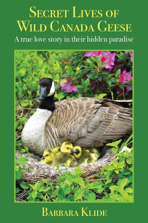 Secret Lives of Wild Canada Geese -  Barbara Klide