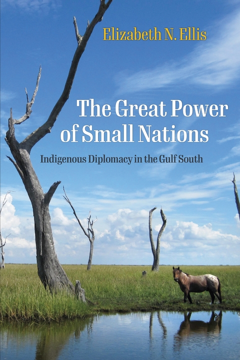 Great Power of Small Nations -  Elizabeth N. Ellis