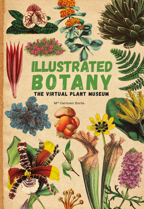 Illustrated Botany -  Carmen Soria