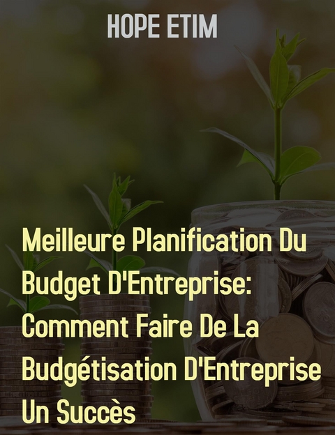 Meilleure Planification Du Budget D'Entreprise - Hope Etim