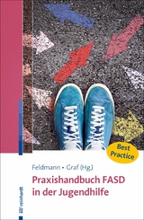 Praxishandbuch FASD in der Jugendhilfe - 