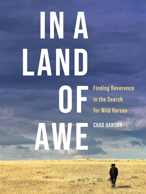 In a Land of Awe: Finding Reverence in the Search for Wild Horses -  Chad Hanson