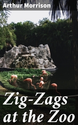 Zig-Zags at the Zoo - Arthur Morrison