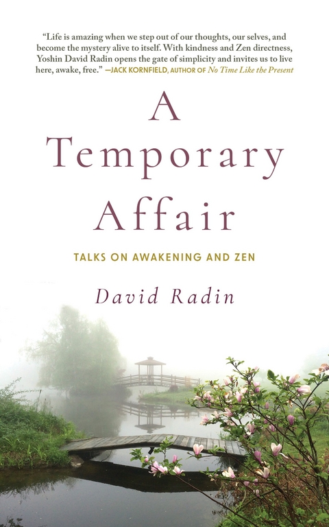 Temporary Affair -  David Radin