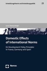 Domestic Effects of International Norms - Laura-Theresa Krüger