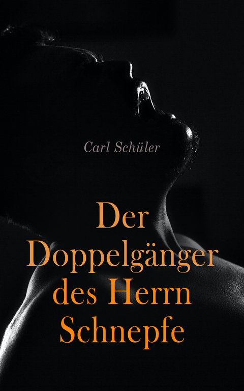 Der Doppelgänger des Herrn Schnepfe - Carl Schüler