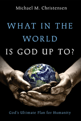 What in the World Is God Up To? -  Michael M. Christensen