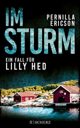 Im Sturm -  Pernilla Ericson