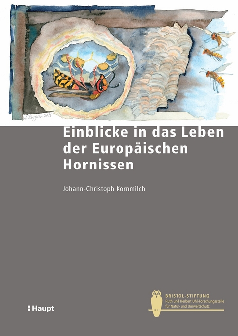 Einblicke in das Leben der Europäischen Hornisse - Johann-Christoph Kornmilch, Gerald Kerth