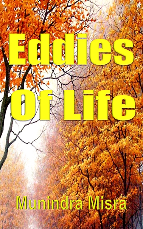 Eddies Of Life - Munindra Misra