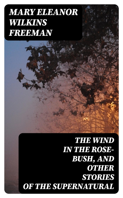 The Wind in the Rose-Bush, and Other Stories of the Supernatural - Mary Eleanor Wilkins Freeman