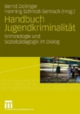 Handbuch Jugendkriminalität - 