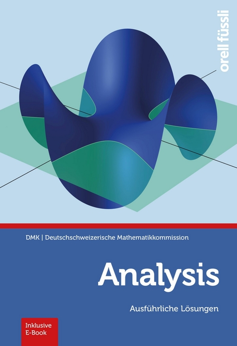 Analysis – Ausführliche Lösungen - Baoswan Dzung Wong, Marco Schmid, Regula Sourlier-Künzle, Hansjürg Stocker, Reto Weibel