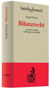 Bilanzrecht - Hanno Merkt