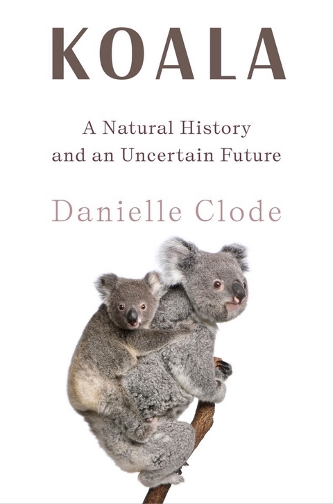 Koala: The Extraordinary Life of an Enigmatic Animal - Danielle Clode