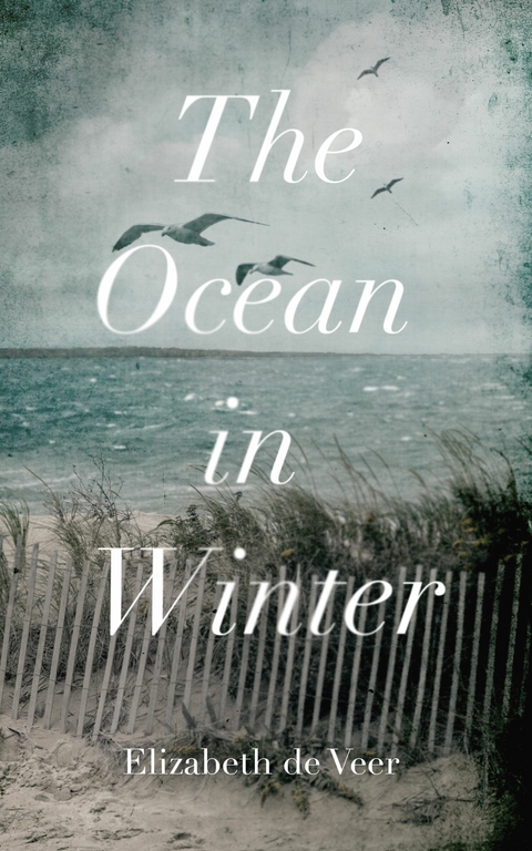 Ocean in Winter -  Elizabeth de Veer