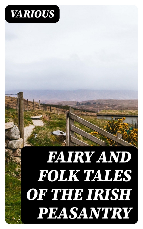 Fairy and Folk Tales of the Irish Peasantry -  Various