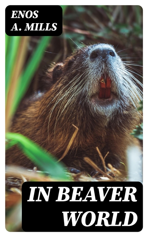 In Beaver World - Enos A. Mills