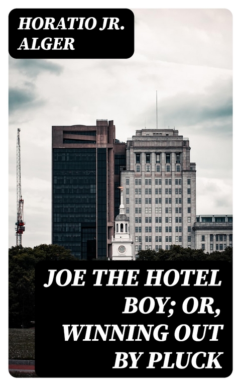 Joe the Hotel Boy; Or, Winning out by Pluck - Horatio Alger  Jr.