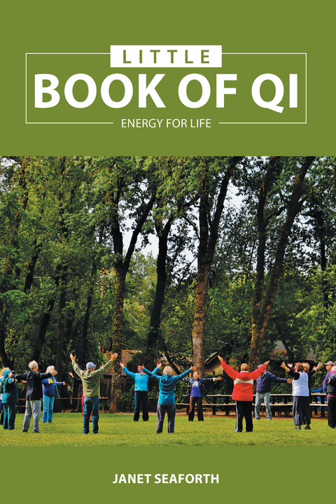 Little Book of Qi -  Janet Seaforth