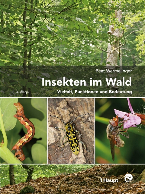 Insekten im Wald - Beat Wermelinger