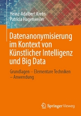 Datenanonymisierung im Kontext von Künstlicher Intelligenz und Big Data -  Heinz-Adalbert Krebs,  Patricia Hagenweiler