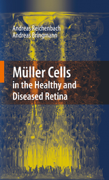 Müller Cells in the Healthy and Diseased Retina - Andreas Reichenbach, Andreas Bringmann