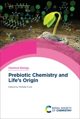 Prebiotic Chemistry and Life's Origin - 