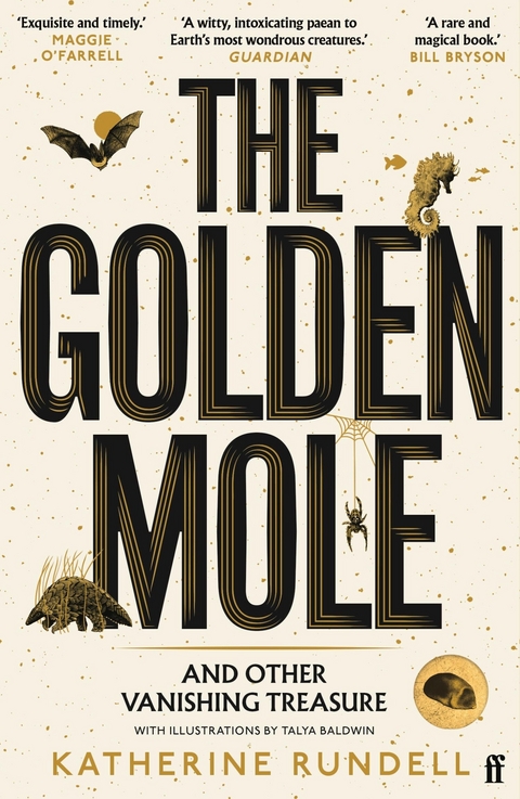 Golden Mole -  Katherine Rundell