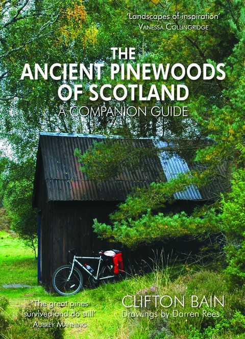 Ancient Pinewoods of Scotland -  Clifton Bain