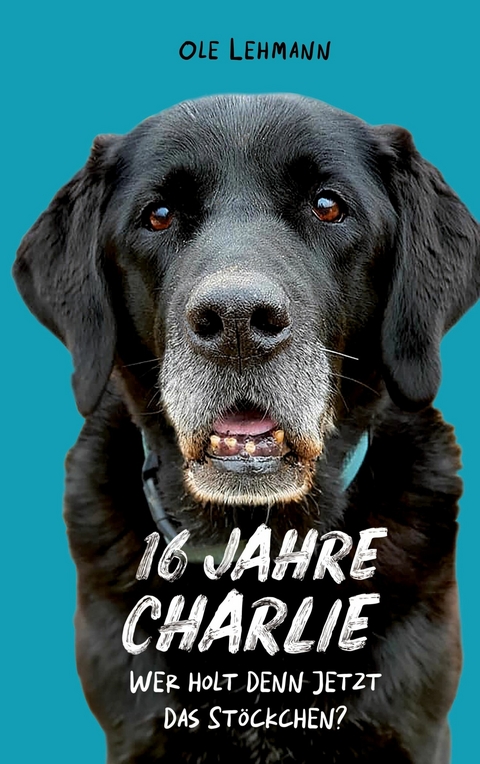 16 Jahre Charlie - Ole Lehmann