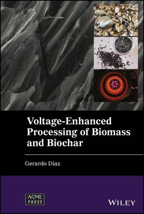 Voltage-Enhanced Processing of Biomass and Biochar -  Gerardo Diaz