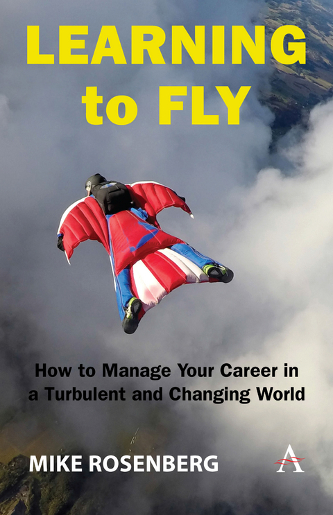 Learning to Fly: How to Manage Your Career in a Turbulent and Changing World -  Mike Rosenberg