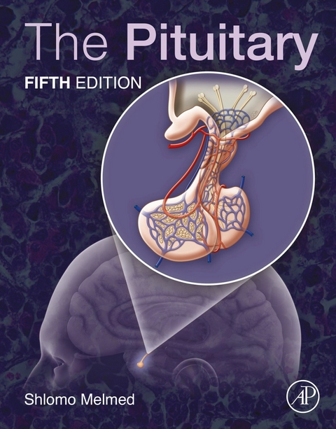 Pituitary - 
