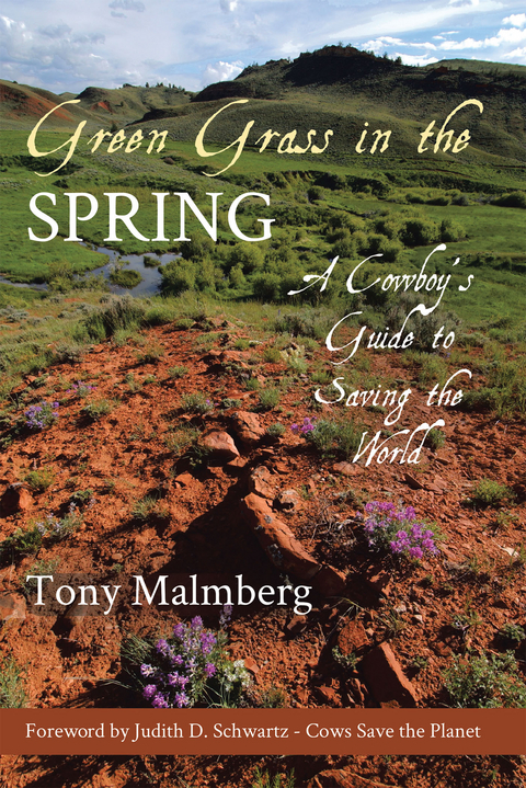 Green Grass in the Spring -  Tony Malmberg