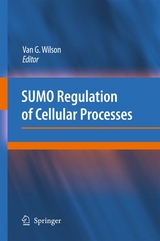 SUMO Regulation of Cellular Processes - 