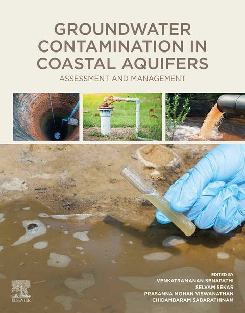 Groundwater Contamination in Coastal Aquifers - 