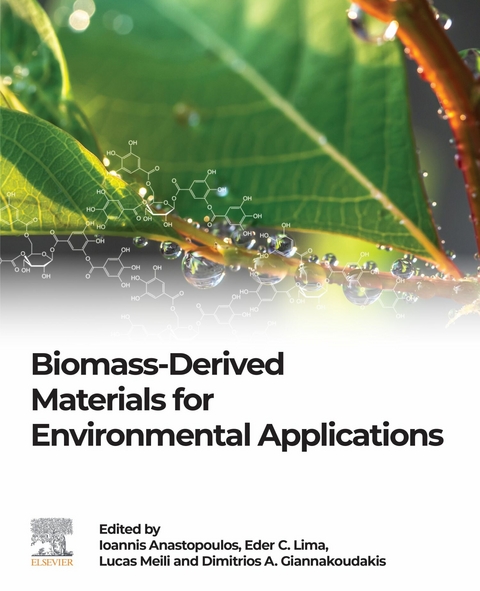 Biomass-Derived Materials for Environmental Applications - 