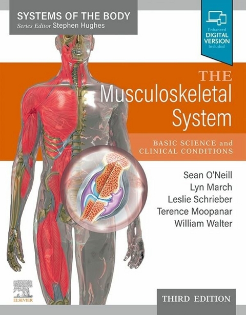 Musculoskeletal System - 