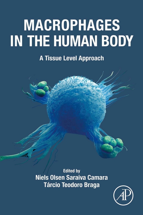 Macrophages in the Human Body - 