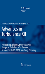 Advances in Turbulence XII - 