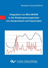 Integration von Mini-BHKW in die Niederspannungsnetze von Deutschland und Kasachstan - Nassipkul Dyussembekova