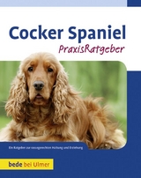 Cocker Spaniel - Haja Van Wessem