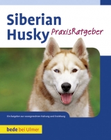 Siberian Husky - Pfaffenburner, Stefan