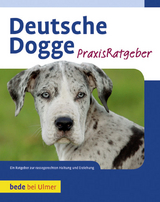 Deutsche Dogge - Haas, S. William