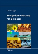 Energetische Nutzung von Biomasse - Klaus Koppe