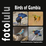 Birds of Gambia - Sr. fotolulu