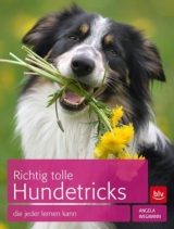 Richtig tolle Hundetricks - Angela Wegmann